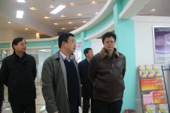 陳剛副市長一行調(diào)研南京文化金融服務中心